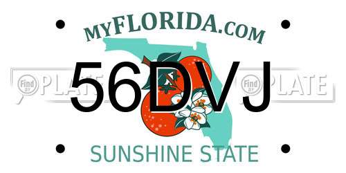 56DVJ Florida License Plate