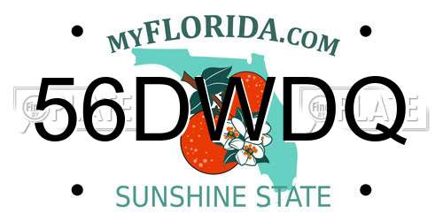 56DWDQ Florida License Plate