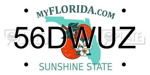 56DWUZ Florida License Plate