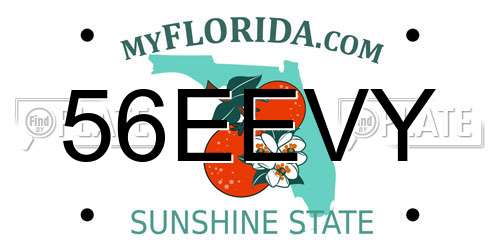 56EEVY Florida License Plate