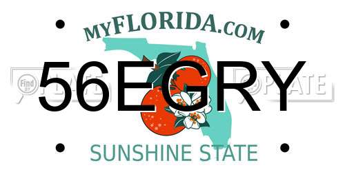 56EGRY Florida License Plate