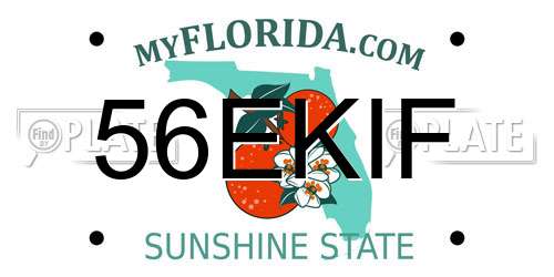 56EKIF Florida License Plate