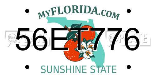 56ET776 Florida License Plate