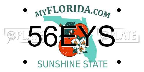 56EYS Florida License Plate