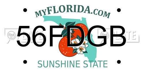 56FDGB Florida License Plate