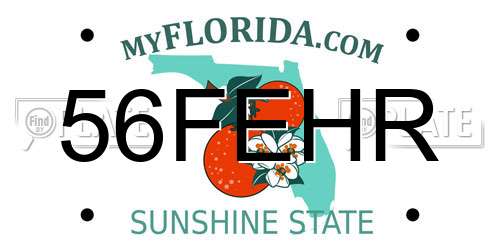 56FEHR Florida License Plate