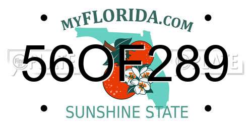 56OF289 Florida License Plate