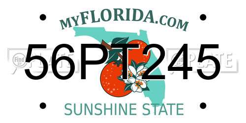 56PT245 Florida License Plate