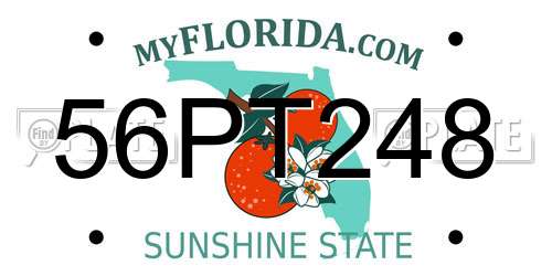 56PT248 Florida License Plate