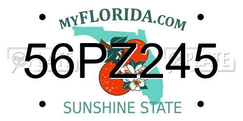 56PZ245 Florida License Plate