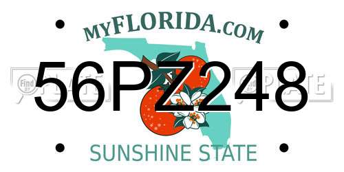 56PZ248 Florida License Plate