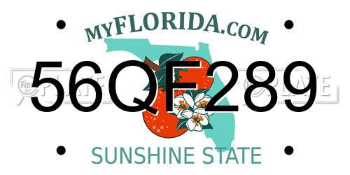56QF289 Florida License Plate