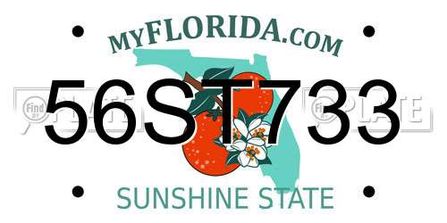 56ST733 Florida License Plate