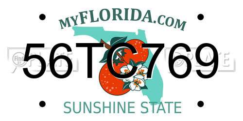 56TC769 Florida License Plate