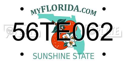 56TE062 Florida License Plate