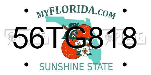 56TG818 Florida License Plate