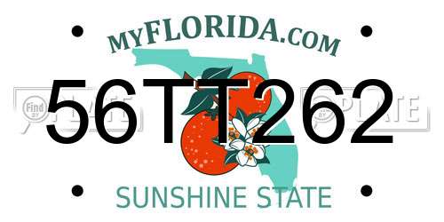 56TT262 Florida License Plate