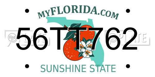 56TT762 Florida License Plate