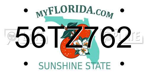 56TZ762 Florida License Plate
