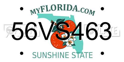 56VS463 Florida License Plate