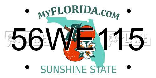56WE115 Florida License Plate