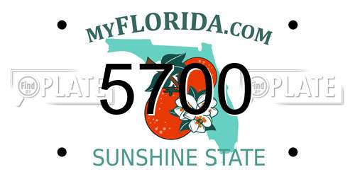 5700 Florida License Plate