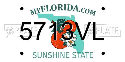 5713VL Florida License Plate