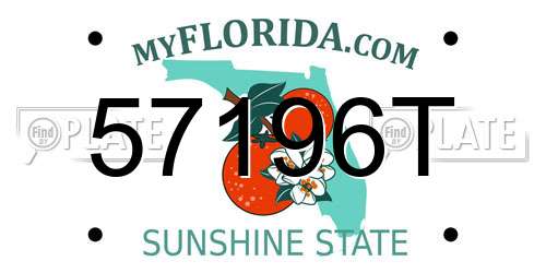 57196T Florida License Plate
