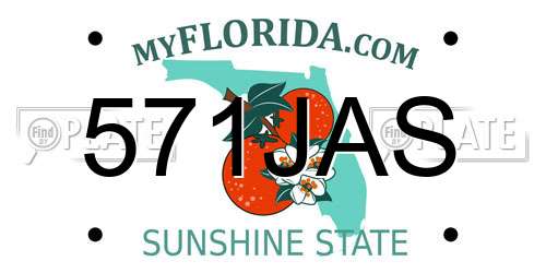 571JAS Florida License Plate