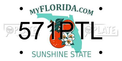 571PTL Florida License Plate