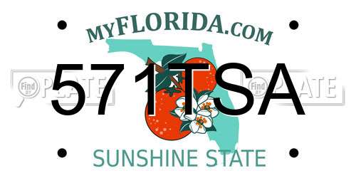 571TSA Florida License Plate