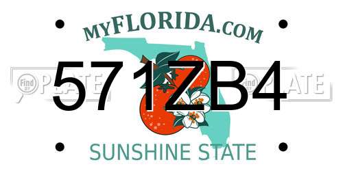 571ZB4 Florida License Plate