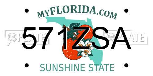 571ZSA Florida License Plate