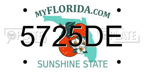 5725DE Florida License Plate