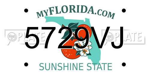 5729VJ Florida License Plate