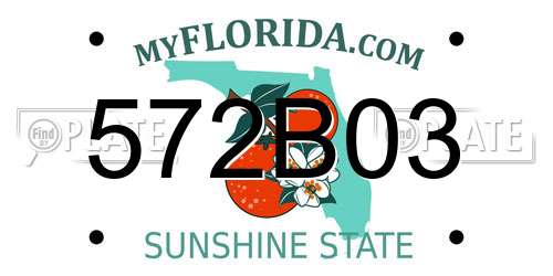 572B03 Florida License Plate