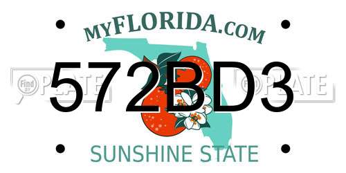 572BD3 Florida License Plate