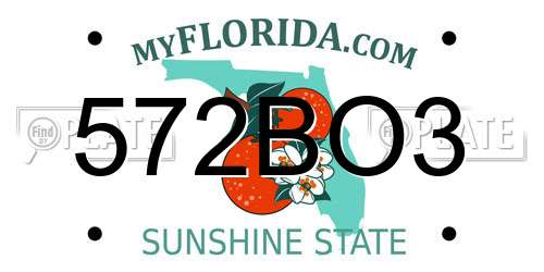 572BO3 Florida License Plate