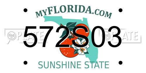 572S03 Florida License Plate