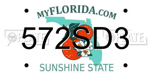 572SD3 Florida License Plate