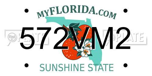 572VM2 Florida License Plate