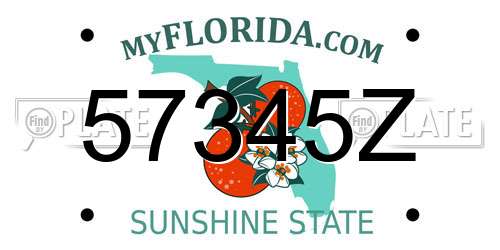 57345Z Florida License Plate