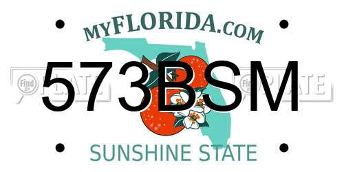 573BSM Florida License Plate