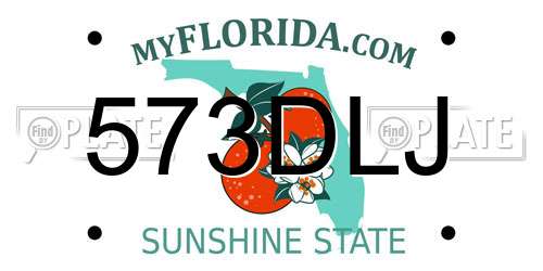 573DLJ Florida License Plate