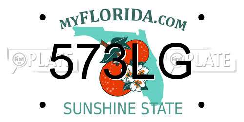 573LG Florida License Plate