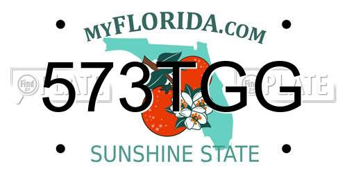 573TGG Florida License Plate