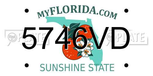 5746VD Florida License Plate