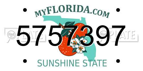 5757397 Florida License Plate