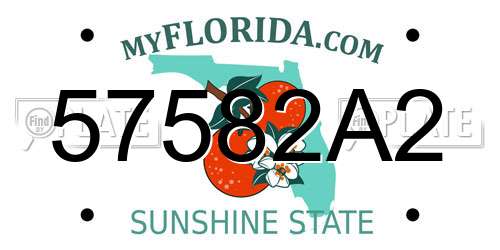 57582A2 Florida License Plate