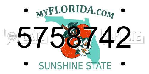 5758742 Florida License Plate
